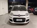 Fiat Panda Panda III 2016 1.2 Easy 69cv Blanc - thumbnail 3