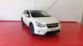 Subaru XV 2.0TD Sport Blanc - thumbnail 19