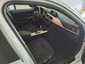 BMW 316 d F31 Touring  Bus Adv *NAVI PROF*FULL LED* Bianco - thumbnail 11