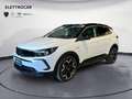 Opel Grandland Grandland 1.5 diesel Ecotec aut. GS Weiß - thumbnail 1