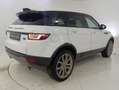 Land Rover Range Rover Evoque Evoque 2.0 td4 SE 180cv 5p auto Bianco - thumbnail 14