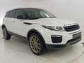 Land Rover Range Rover Evoque Evoque 2.0 td4 SE 180cv 5p auto Bianco - thumbnail 3
