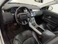 Land Rover Range Rover Evoque Evoque 2.0 td4 SE 180cv 5p auto Bianco - thumbnail 6