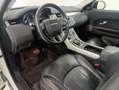 Land Rover Range Rover Evoque Evoque 2.0 td4 SE 180cv 5p auto Bianco - thumbnail 16