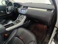 Land Rover Range Rover Evoque Evoque 2.0 td4 SE 180cv 5p auto Bianco - thumbnail 12
