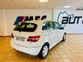 Mercedes-Benz B 170 Bianco - thumbnail 3
