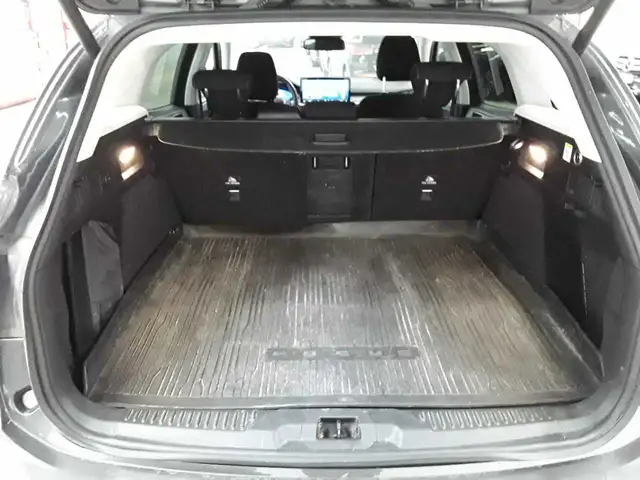 Ford Focus view 15