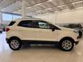 Ford EcoSport 1.5 TDCi 95 CV Titanium Blanc - thumbnail 4