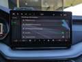 Skoda Octavia Selection TDI DSG Grau - thumbnail 12