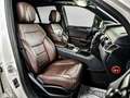 Mercedes-Benz ML 500 ML 500 AMG*DISTRONIC*360 KAMERA*KEYLESS*PANORAMA Weiß - thumbnail 15