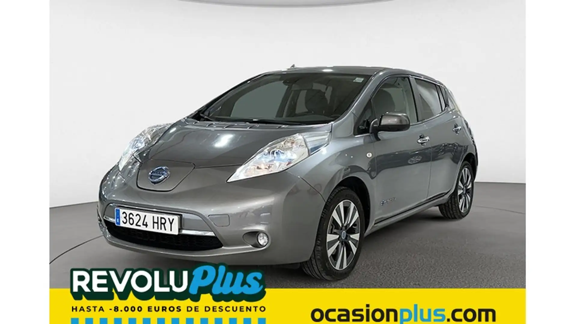 Nissan Leaf Tekna siva - 1
