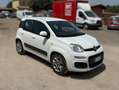 Fiat Panda Panda 1.0 hybrid Easy s Bianco - thumbnail 3