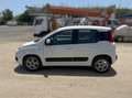 Fiat Panda Panda 1.0 hybrid Easy s Bianco - thumbnail 8
