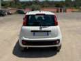 Fiat Panda Panda 1.0 hybrid Easy s Bianco - thumbnail 6