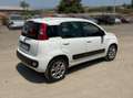 Fiat Panda Panda 1.0 hybrid Easy s Bianco - thumbnail 5