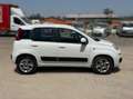 Fiat Panda Panda 1.0 hybrid Easy s Bianco - thumbnail 4