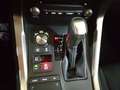 Lexus NX 300 300h Business 2WD Noir - thumbnail 13