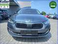 Skoda Octavia Combi 1.4 TSI iV DSG Navi Kamera Matrix Grau - thumbnail 3
