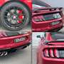 Ford Mustang 2,3 EcoBoost Aut. / SHELBY GT500 LOOK Rood - thumbnail 14