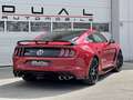 Ford Mustang 2,3 EcoBoost Aut. / SHELBY GT500 LOOK Rood - thumbnail 4