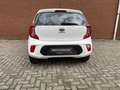 Kia Picanto 1.0 CVVT EconomyLine Wit - thumbnail 10
