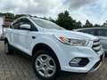 Ford Kuga 2.0 TDCI 4X4 ALLRAD Aut+NAVI+KLIMATR+PDC+SHZ Weiß - thumbnail 2