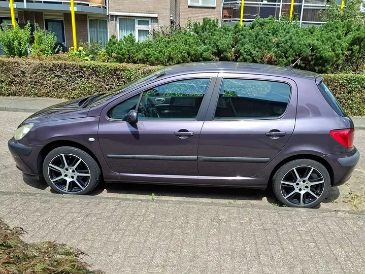 Peugeot 307 307 1.6-16V XS