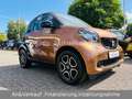 smart forTwo Passion KLIMA/PANO/TAGFAHRLICHT/ALLWETTER Schwarz - thumbnail 5