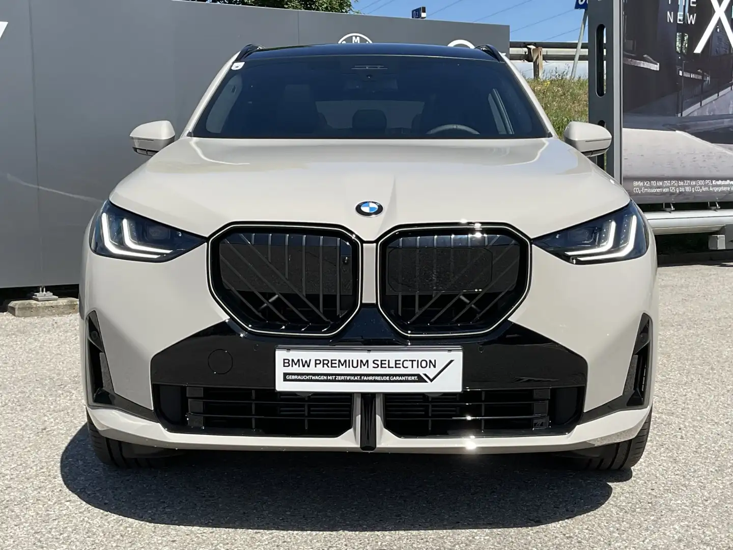 BMW X3 X3 20d xDrive Grau - 2