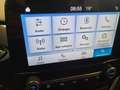 Ford Fiesta 5p 1.0 ecoboost HYBRID Titanium 125cv LED Grigio - thumbnail 10