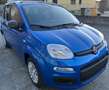 Fiat Panda Panda 1.0 70cv Icon - NO VINCOLI! Blu/Azzurro - thumbnail 2