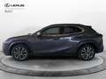 Lexus UX 250h Hybrid Design Grigio - thumbnail 4