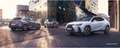 Lexus UX 250h Hybrid Design Grigio - thumbnail 14
