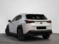Lexus UX 250h Premium 4WD - thumbnail 2