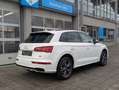 Audi Q5 quattro design*S-Line*AHK*virtual* Weiß - thumbnail 24