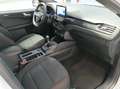 Ford Kuga 1.5 ecoboost ST-Line 150cv Blanc - thumbnail 15