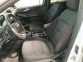 Ford Kuga 1.5 ecoboost ST-Line 150cv Blanc - thumbnail 14