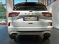 Ford Kuga 1.5 ecoboost ST-Line 150cv Blanc - thumbnail 5