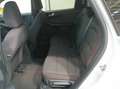 Ford Kuga 1.5 ecoboost ST-Line 150cv Blanc - thumbnail 12