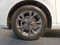 Ford Kuga 1.5 ecoboost ST-Line 150cv Bianco - thumbnail 8