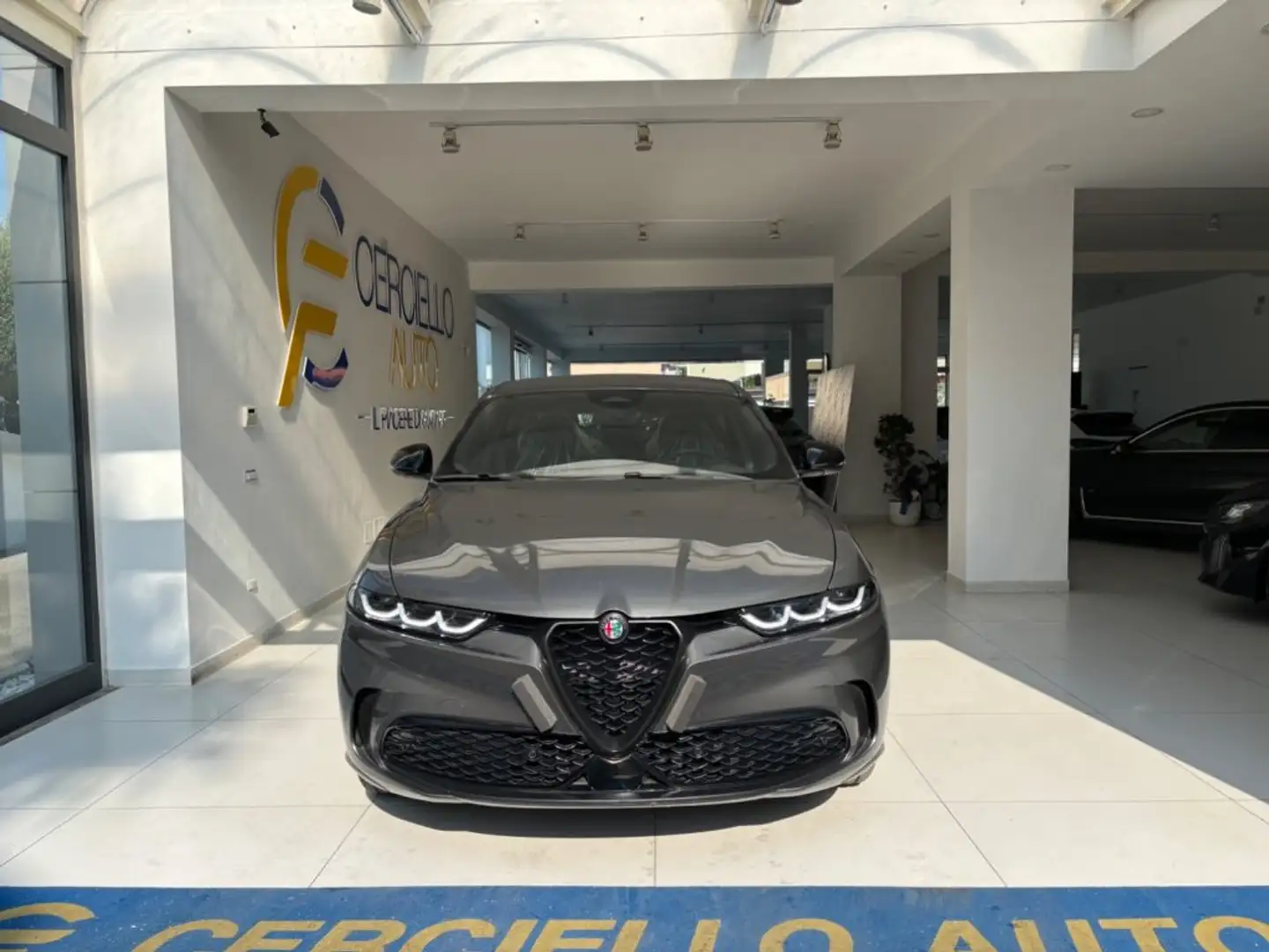 Alfa Romeo Tonale 1.6 diesel 130 CV TCT6 Sprint TUA DA €359,00 Grigio - 1