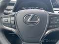 Lexus UX 250h Style Edition *CarPlay*LED*PDC*SHZ* Bianco - thumbnail 15