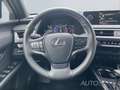 Lexus UX 250h Style Edition *CarPlay*LED*PDC*SHZ* Bianco - thumbnail 11