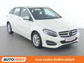 Mercedes-Benz B 180 B 180 CDI Style Weiß - thumbnail 8