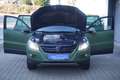 Volkswagen Tiguan 2.0 TDI Track & Field 4M DSG NAVI+StHzg+AHK+KAMERA Grün - thumbnail 10