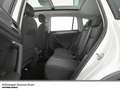 Volkswagen Tiguan Active TSI DSG LED Panorama R-Kamera Weiß - thumbnail 11