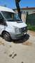 Ford Transit Bus Bianco - thumbnail 3