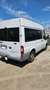 Ford Transit Bus Bianco - thumbnail 5