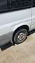 Ford Transit Bus Bianco - thumbnail 4