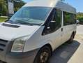Ford Transit Bus Bianco - thumbnail 1